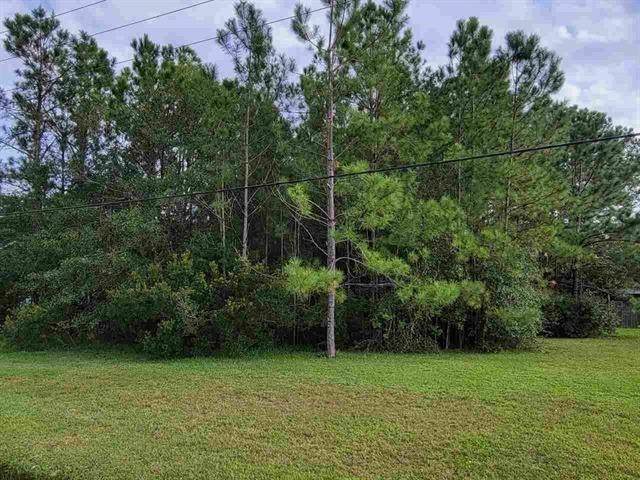 00 Country Lane - Photo 1