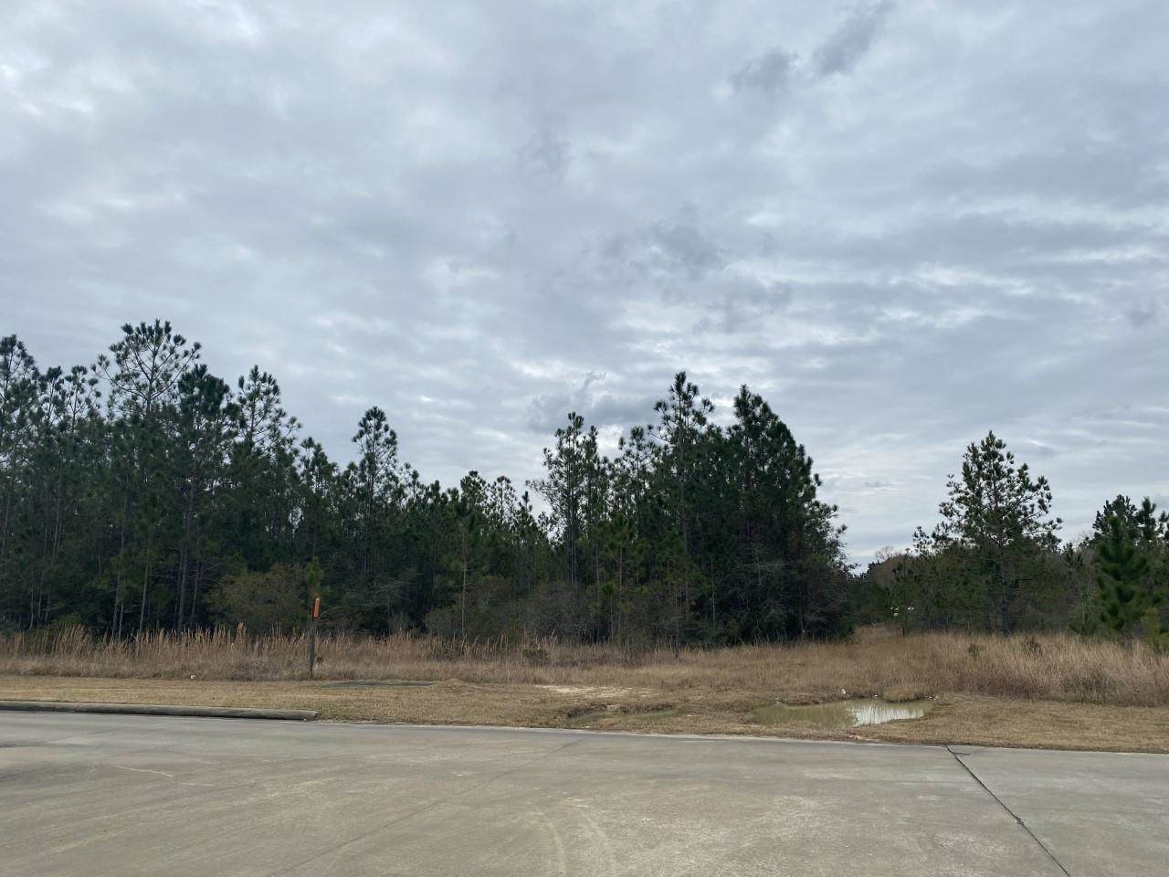 000 River Birch Dr - Photo 1