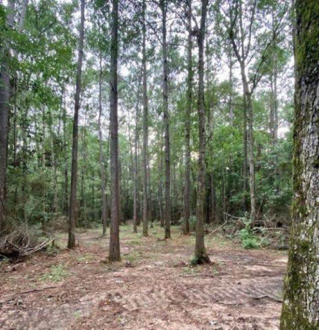 9780 Hwy 326 - Photo 1