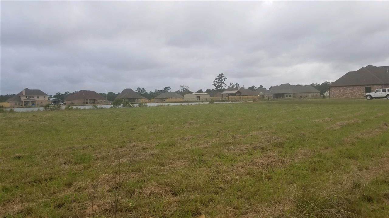 12147 Hwy 105 - Photo 1