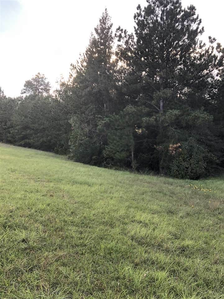 00 Hwy 96 Bypass - Photo 1