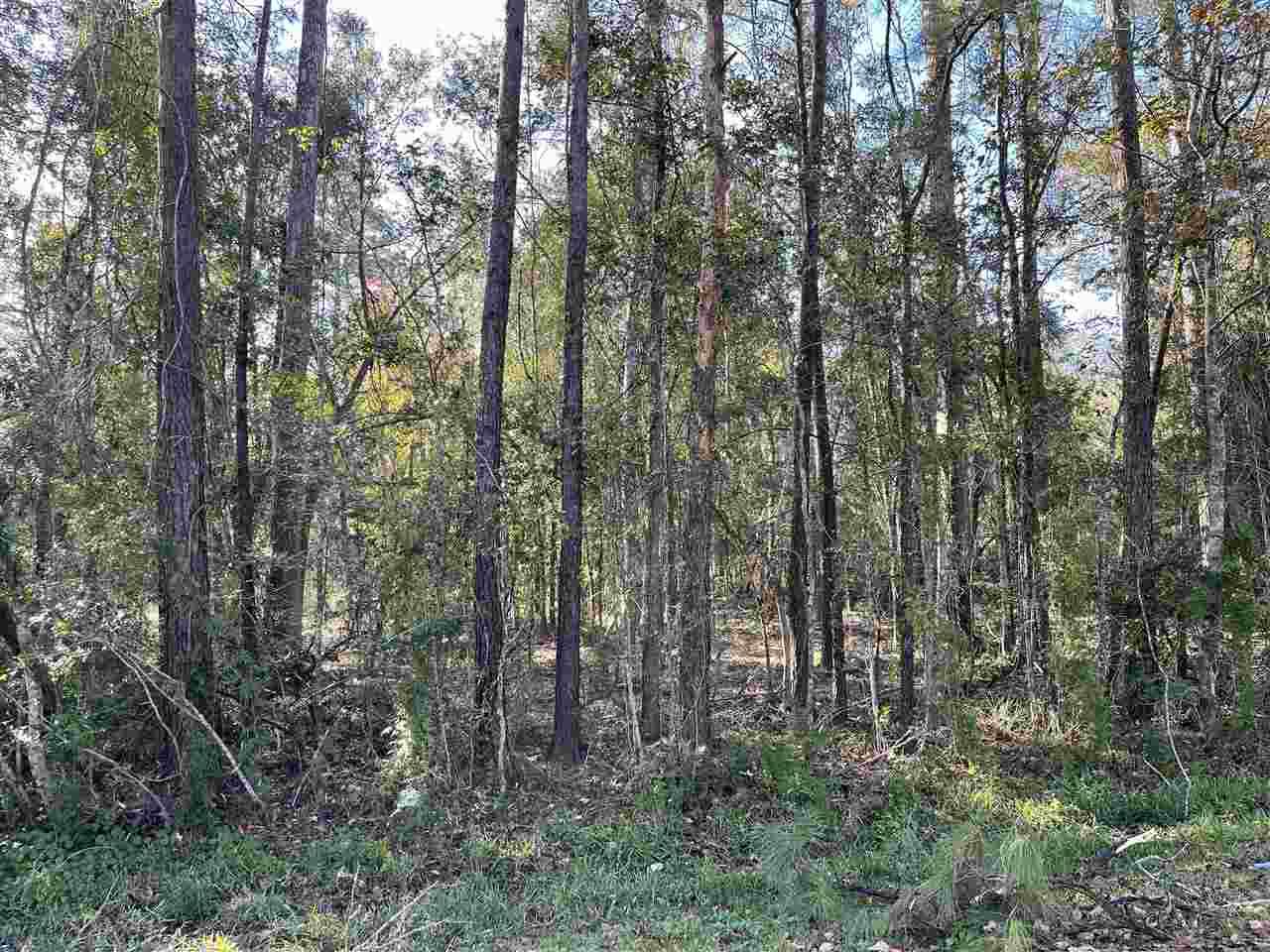 lot 6 Pine Park Blvd. - Photo 1
