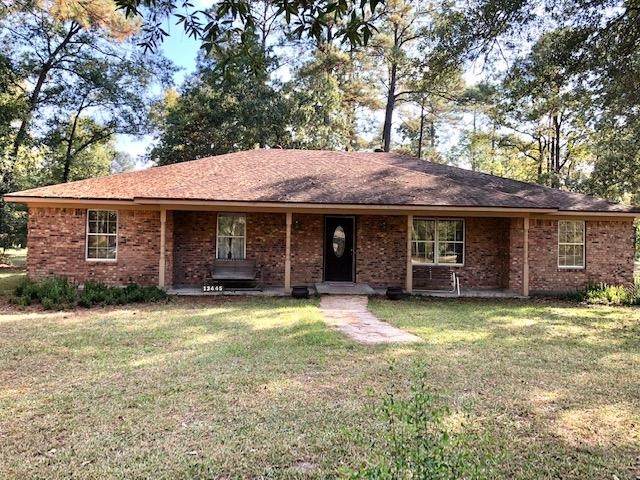 13445 DAVIDA DR - Photo 1