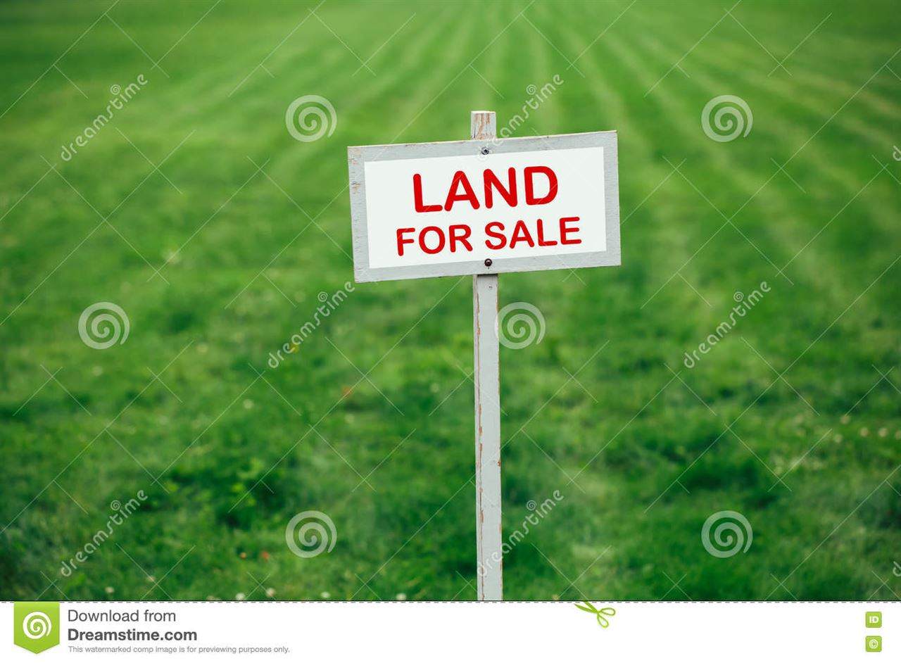 27680 Hwy 365 - Photo 1