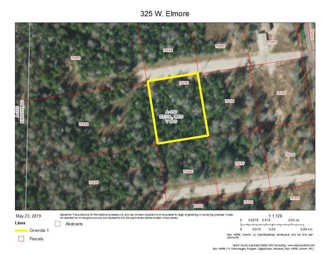 325 Elmore - Photo 1