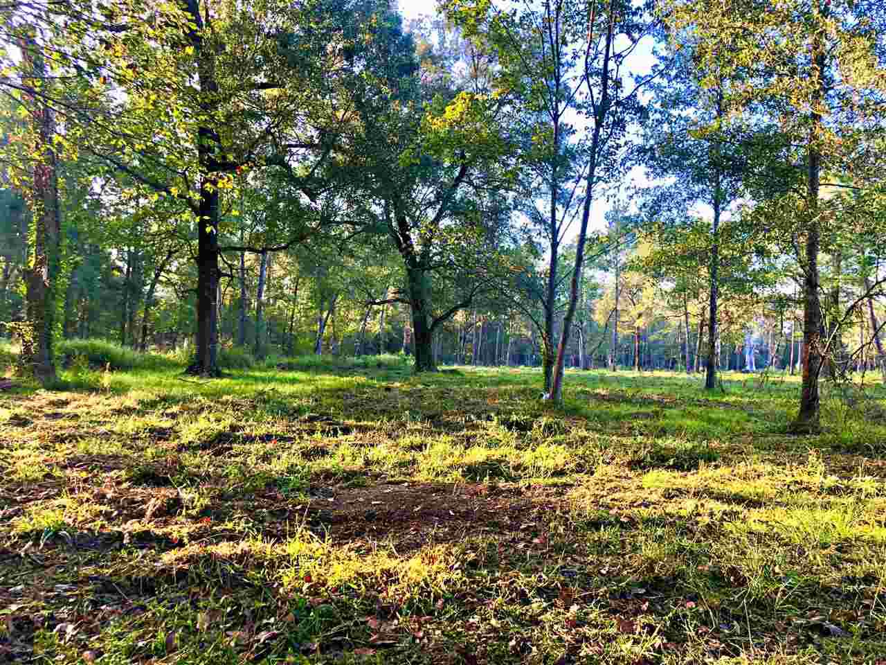7998 Keith Rd - Photo 1