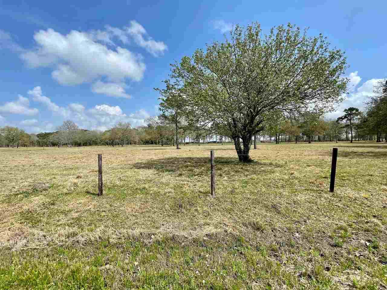 Lot 6 Moore Rd Estates - Photo 1