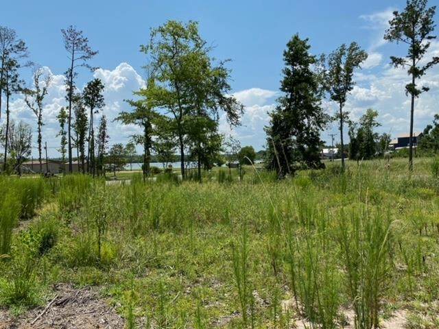 160 Branchwood - Photo 1