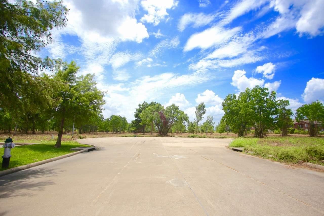 Lot #15 Muela Creek - Photo 1