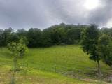 1713 Mountain View Parkway - Photo 13