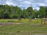 612 Pluto Rd - Photo 52