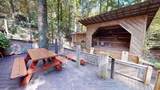 15303 Midland Trail - Photo 18