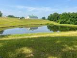 2358 White Tree Hill Road - Photo 19