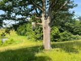 2358 White Tree Hill Road - Photo 29