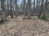 0 Country Woods Road - Photo 21