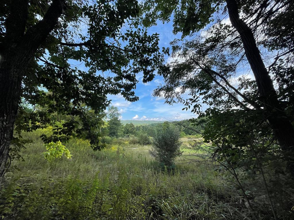 671 4-H LAKE ROAD - Photo 1