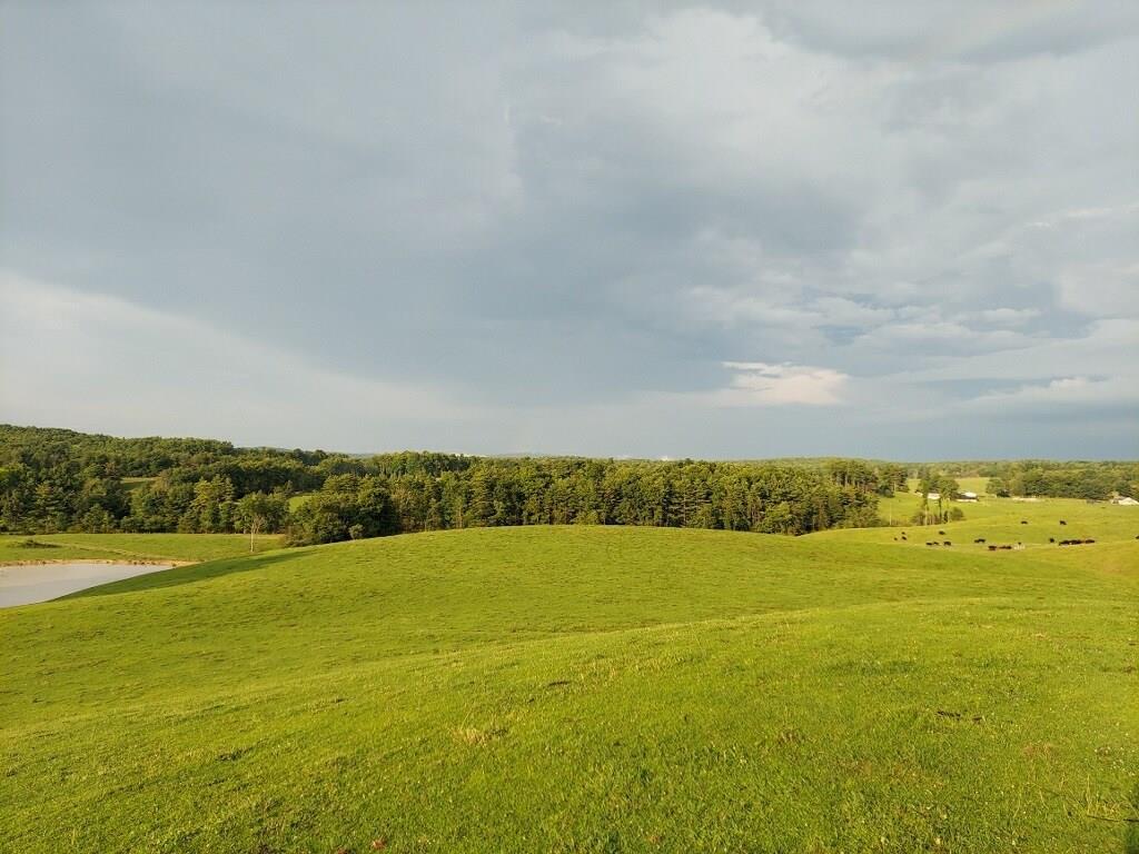 201 Egeria Road - Photo 1