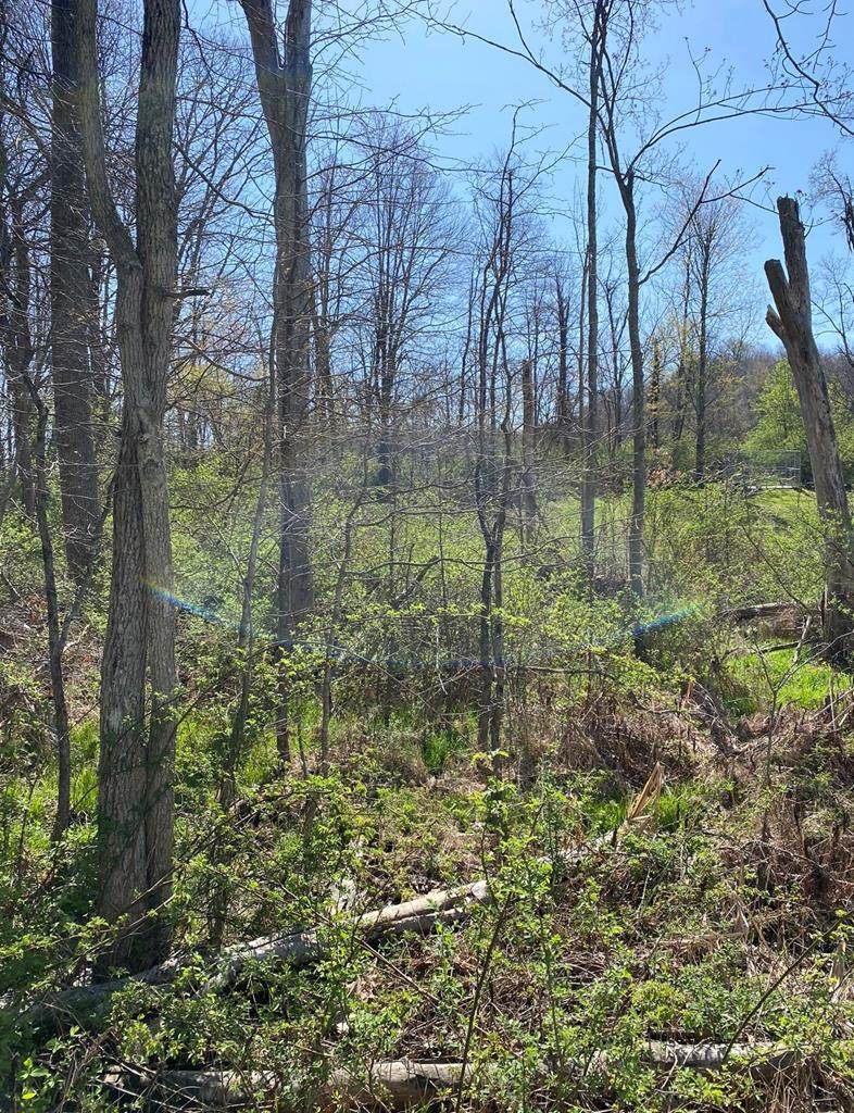 0 Murray Lane - Photo 1