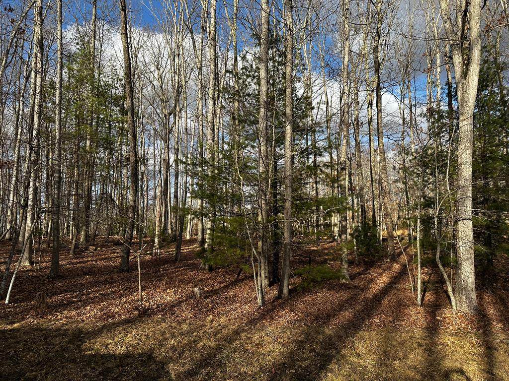 229 Glen Garden Lane - Photo 1