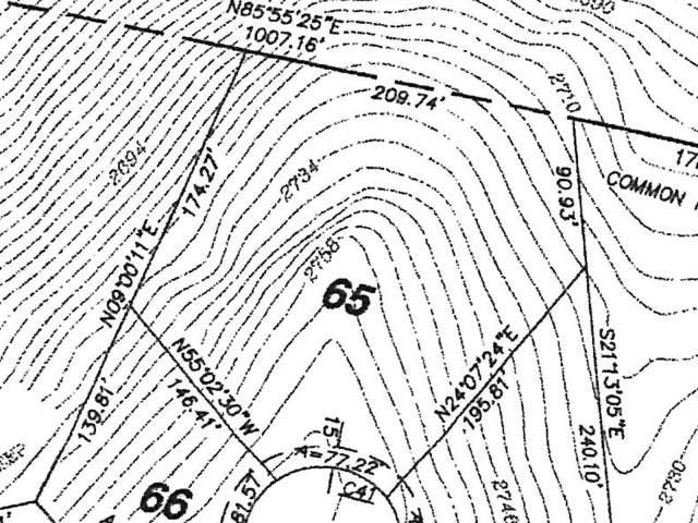 181 St. Thomas Lane - Photo 1