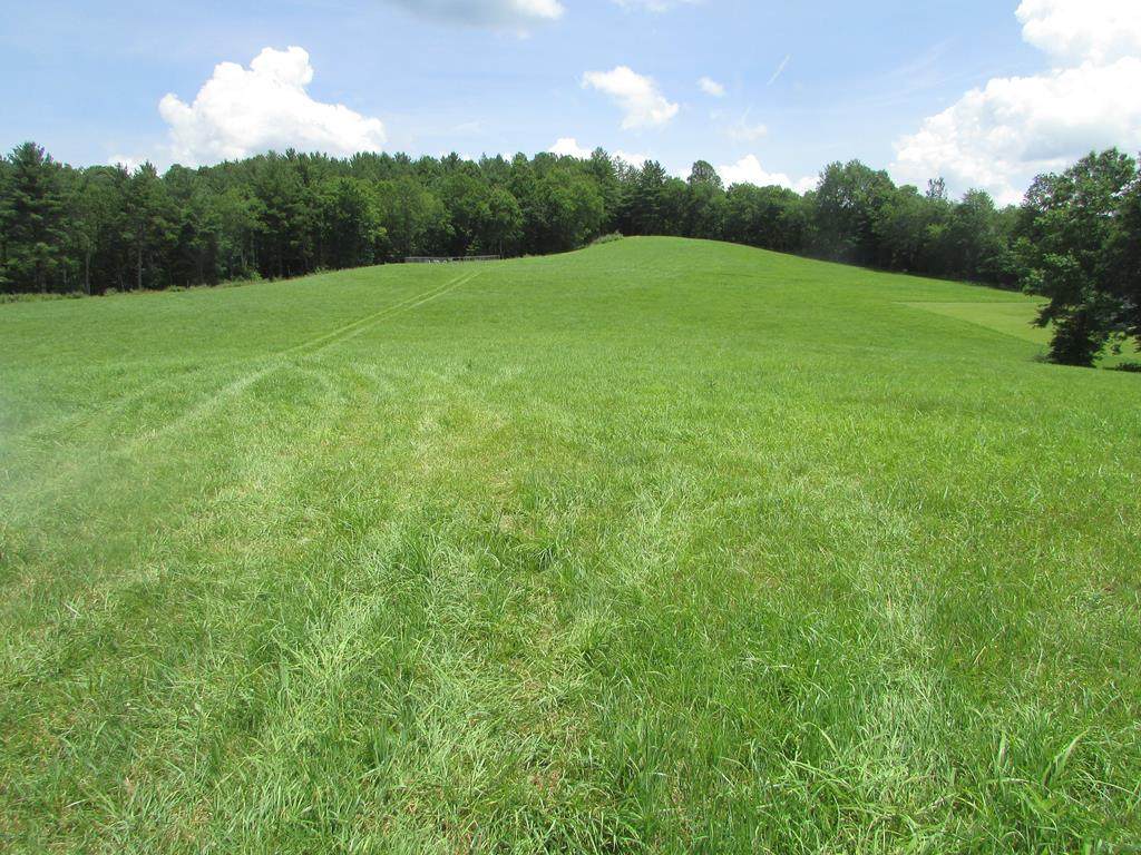 000 Rockhouse Rd - Photo 1