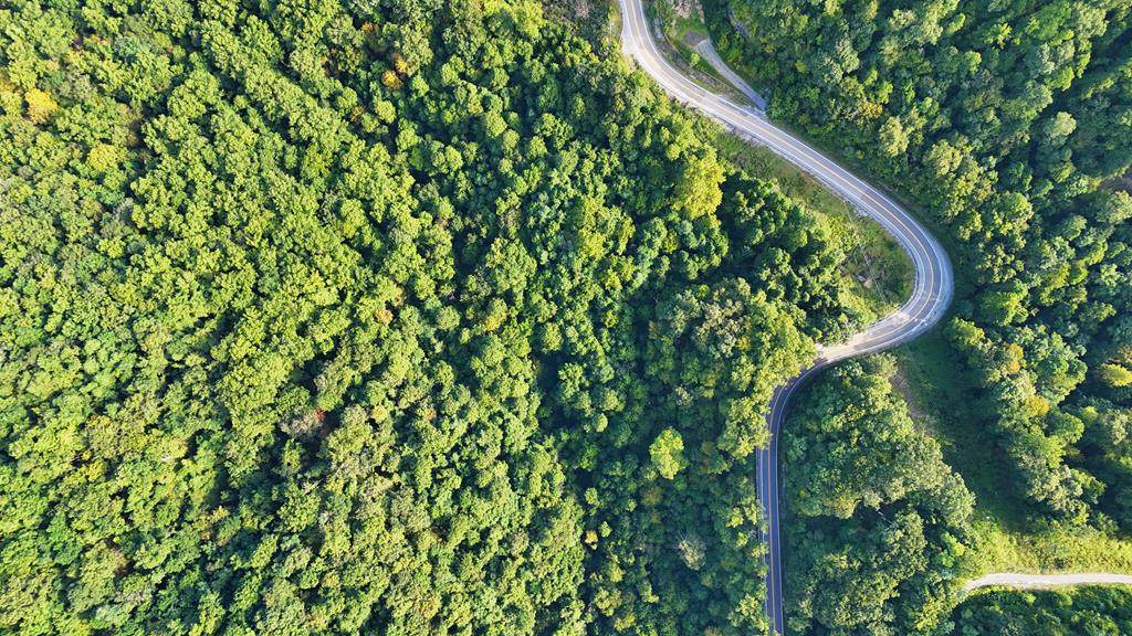 0 Huff Mountain - Photo 1