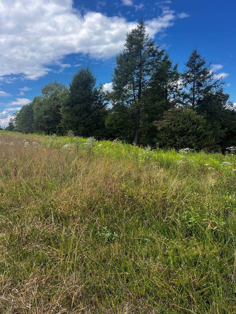 318 River Ridge Lane - Photo 1