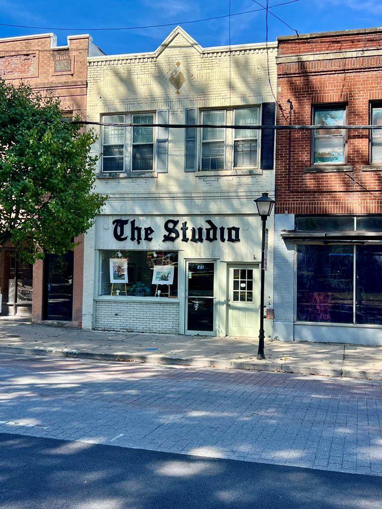 221 Prince St. - Photo 1