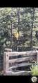 23 Emerald Hills Drive - Photo 4