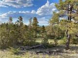 TBD Musselshell Trail Road - Photo 24