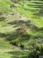 TBD Musselshell Trail Road - Photo 32