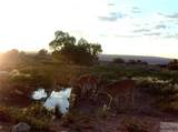 nhn Stagecoach Spur - Photo 31