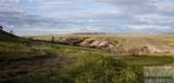 Lot 3 Pryor Creek Road - Photo 2