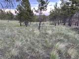 Lot 60 Wild Turkey Ridge Rd - Photo 16
