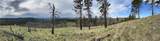 Lot 60 Wild Turkey Ridge Rd - Photo 29