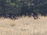 Lot 60 Wild Turkey Ridge Rd - Photo 35