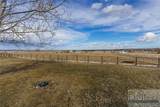 5428 Lone Star Lane - Photo 31