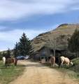 616 Red Lodge Creek Road - Photo 1