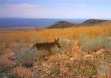 NHN Broken Trail - Photo 30