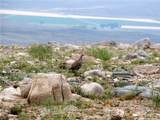 NHN Broken Trail - Photo 31