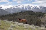 94 Sheep Mountain Road (W/ 614 Ac State Lease) - Photo 35
