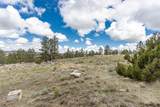 5930 Chief Buffalo Horn Trail - Photo 29