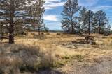 5930 Chief Buffalo Horn Trail - Photo 31