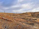 TBD Buckskin Road - Photo 3