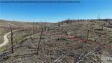 TBD Buckskin Road - Photo 9