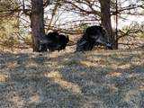 TBD Tbd - Photo 11