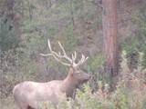 TBD County Rd 147A - Photo 10