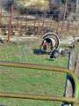 TBD County Rd 147A - Photo 13