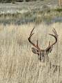 TBD County Rd 147A - Photo 15