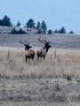 TBD County Rd 147A - Photo 16
